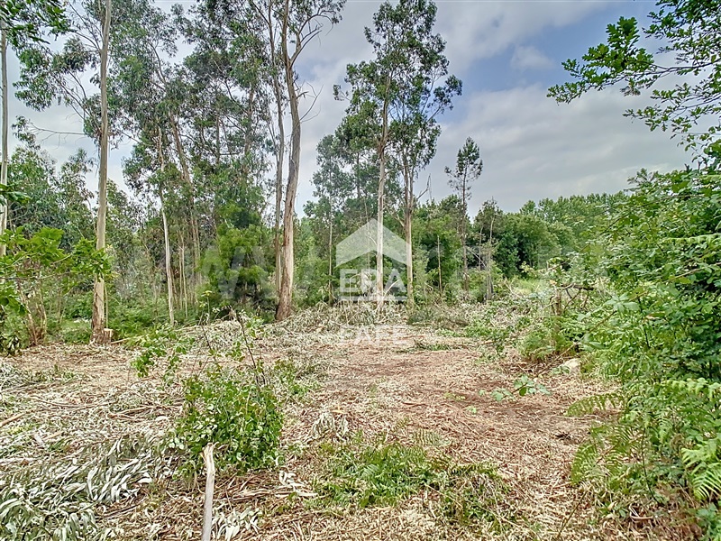 Lote Industrial  Fafe, Quinchães - 1483592 - 2