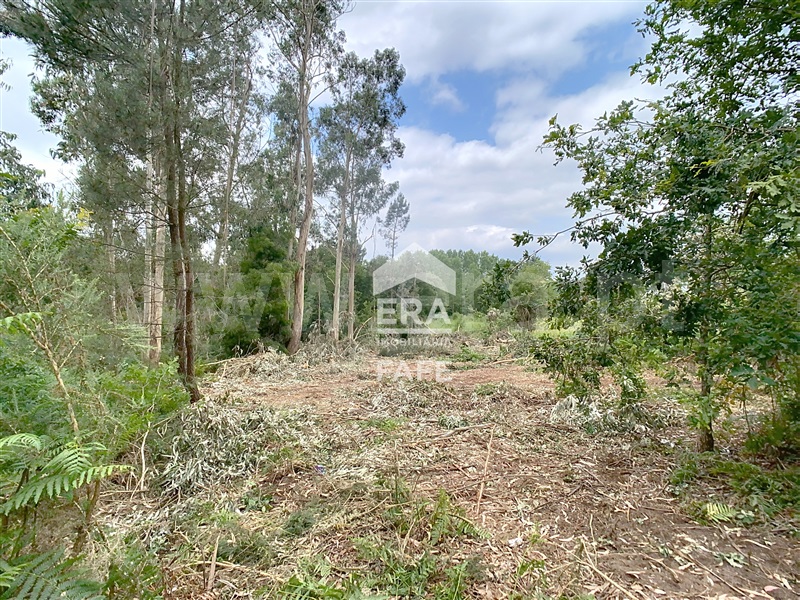Lote Industrial  Fafe, Quinchães - 1483592 - 3