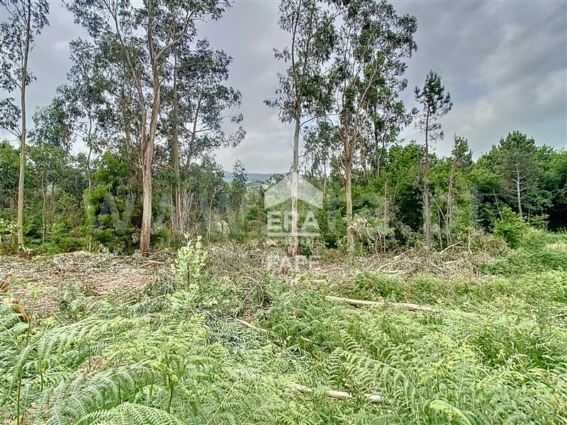 Lote Industrial  Fafe, Quinchães - 1483592 - 4