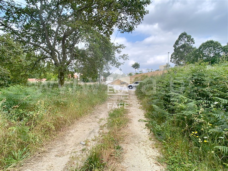 Lote Industrial  Fafe, Quinchães - 1483592 - 7