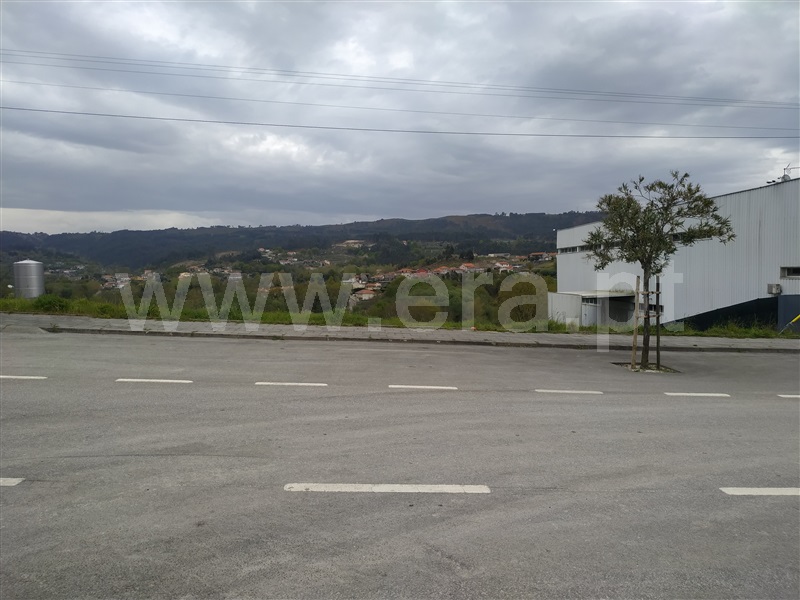Lote Industrial  Fafe, São Gens - 1162285 - 6