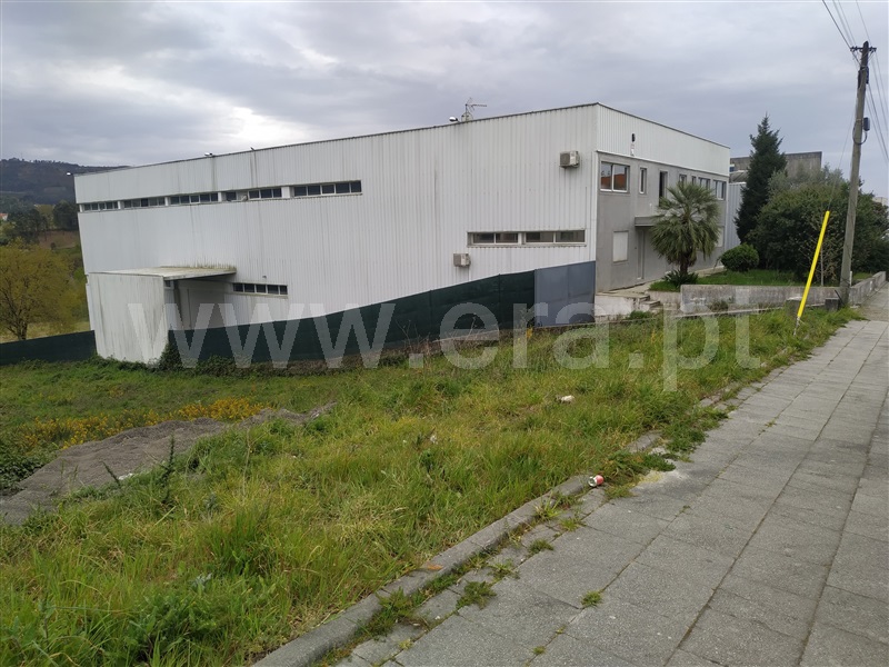 Lote Industrial  Fafe, São Gens - 1162285 - 8