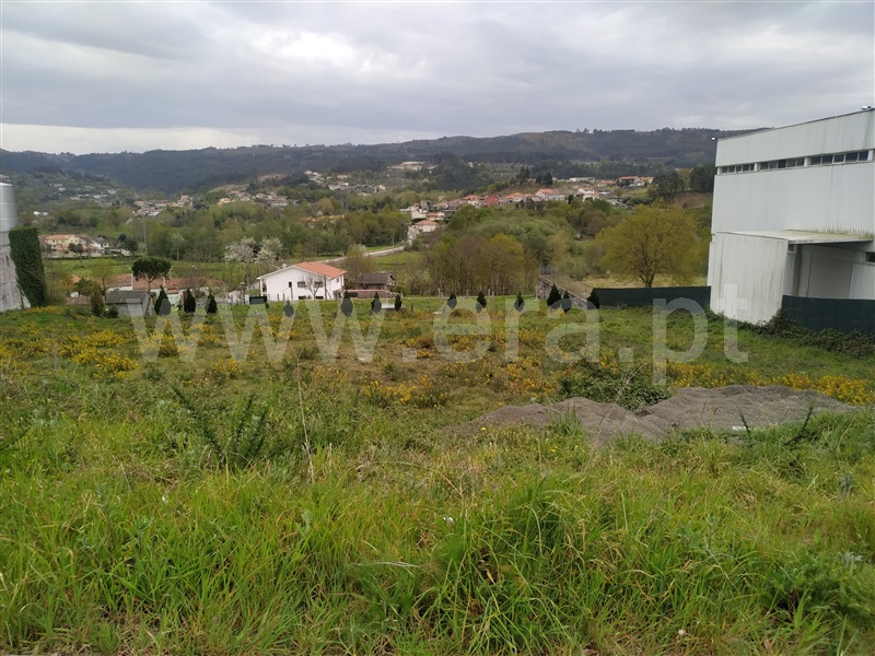 Lote Industrial  Fafe, São Gens - 1162285 - 10