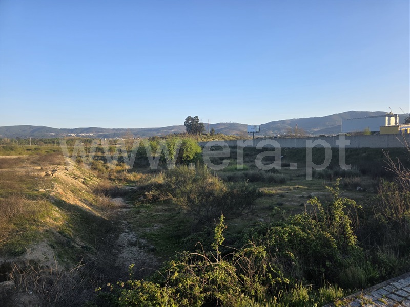 Lote Industrial / Fundão, Fundão