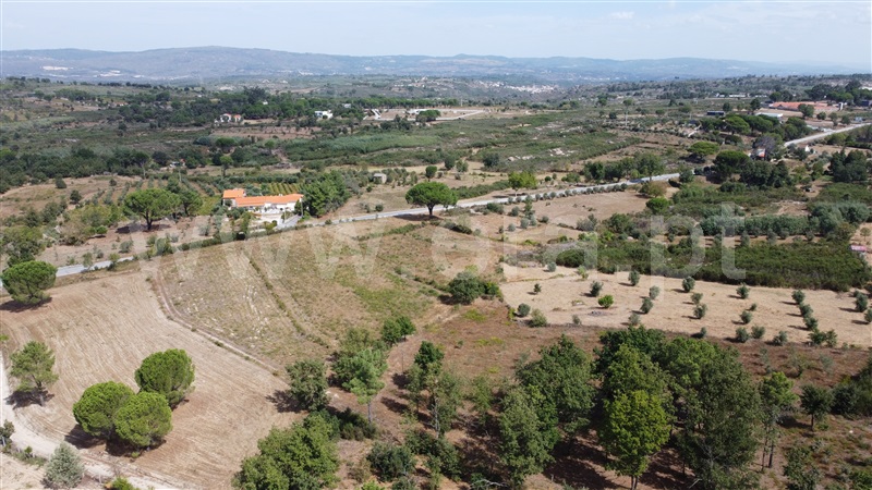 Lote Industrial  Gouveia, Moimenta da Serra e Vinhó - 1338520 - 2