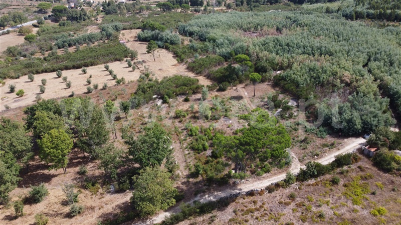 Lote Industrial  Gouveia, Moimenta da Serra e Vinhó - 1338520 - 3