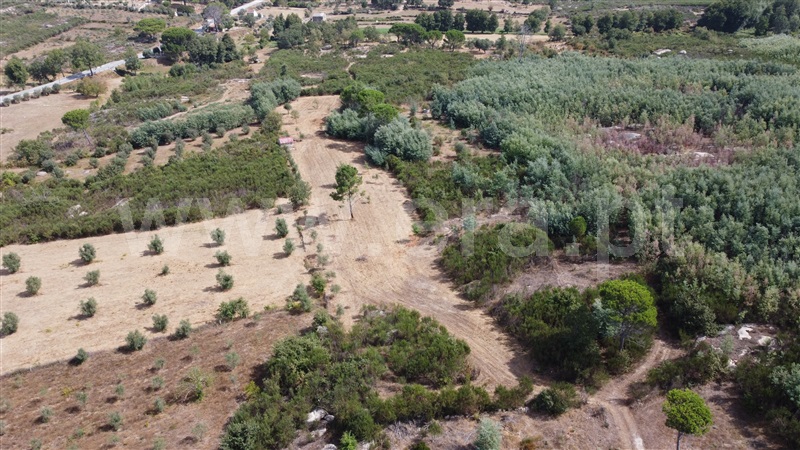 Lote Industrial  Gouveia, Moimenta da Serra e Vinhó - 1338520 - 4