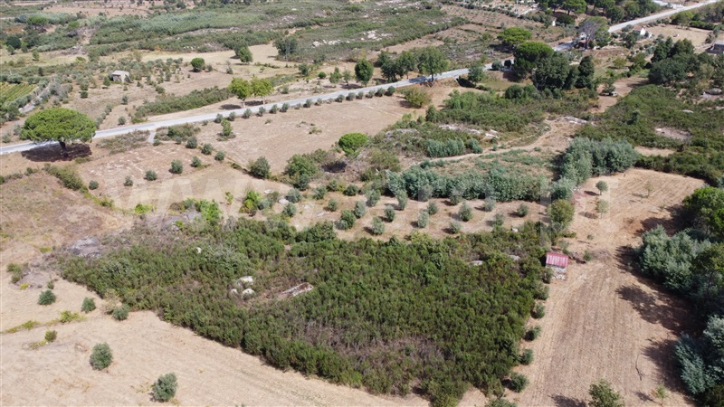 Lote Industrial  Gouveia, Moimenta da Serra e Vinhó - 1338520 - 5