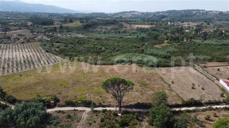 Lote Industrial  Gouveia, Moimenta da Serra e Vinhó - 1338520 - 7