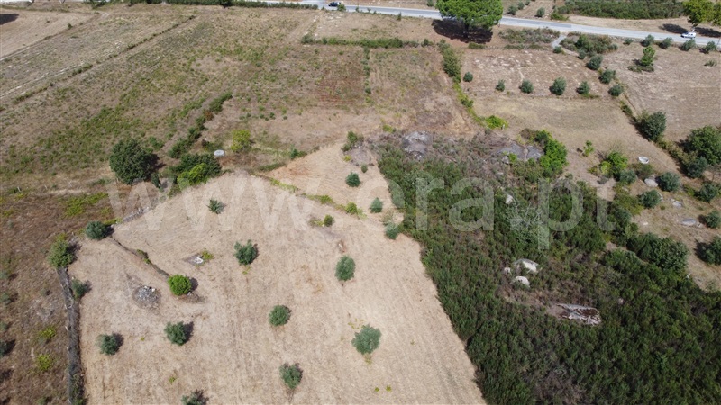 Lote Industrial  Gouveia, Moimenta da Serra e Vinhó - 1338520 - 10