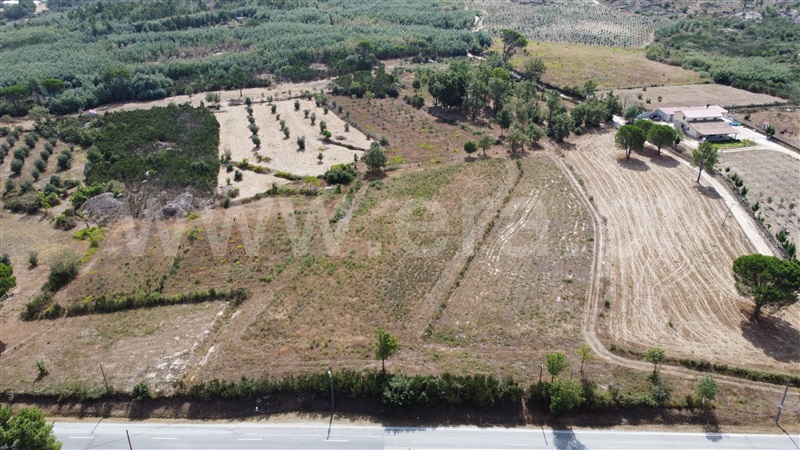 Lote Industrial  Gouveia, Moimenta da Serra e Vinhó - 1338520 - 12