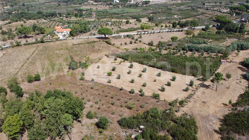 Lote Industrial  Gouveia, Moimenta da Serra e Vinhó - 1338520 - 13