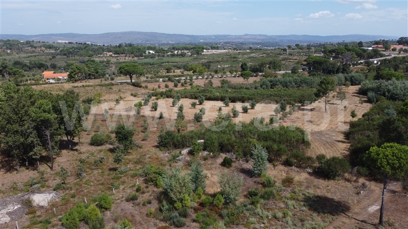 Lote Industrial  Gouveia, Moimenta da Serra e Vinhó - 1338520 - 15