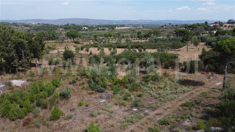 Lote Industrial  Gouveia, Moimenta da Serra e Vinhó - 1338520 - 16