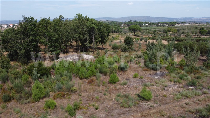 Lote Industrial  Gouveia, Moimenta da Serra e Vinhó - 1338520 - 17
