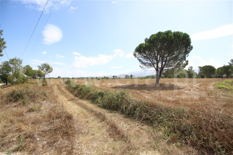 Lote Industrial  Gouveia, Moimenta da Serra e Vinhó - 1338520 - 18