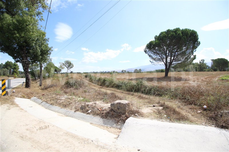 Lote Industrial  Gouveia, Moimenta da Serra e Vinhó - 1338520 - 19