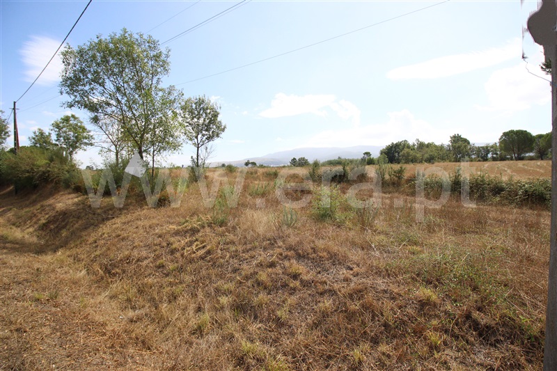 Lote Industrial  Gouveia, Moimenta da Serra e Vinhó - 1338520 - 21