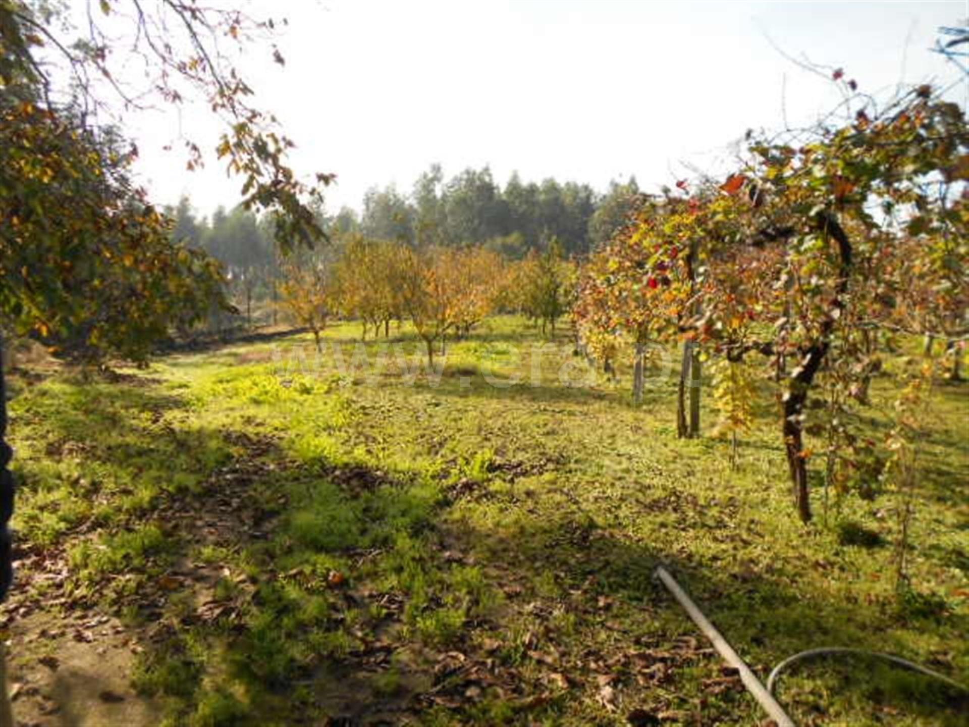 Land for sale in Guimarães, Portugal — €500,000