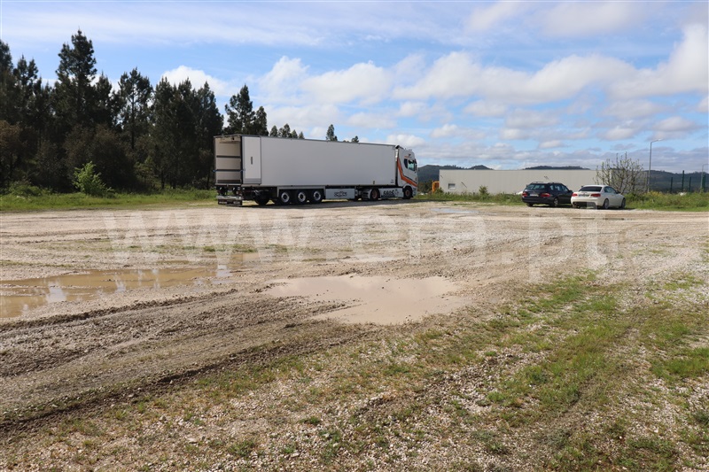 Lote Industrial  Mação, Cardigos - 1468488 - 1
