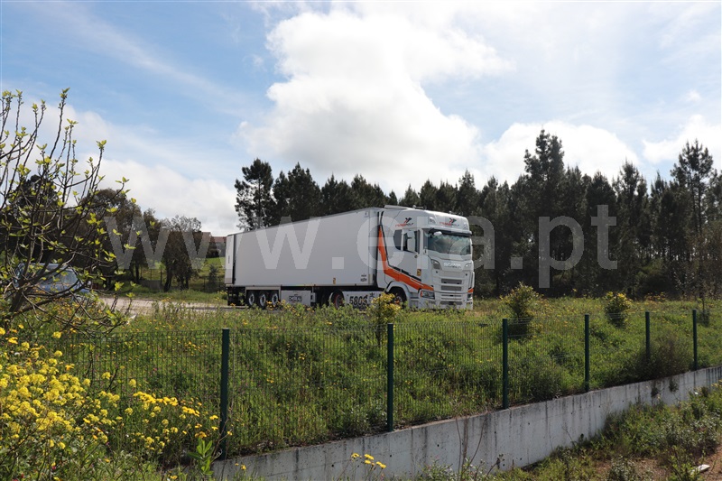 Lote Industrial  Mação, Cardigos - 1468488 - 4