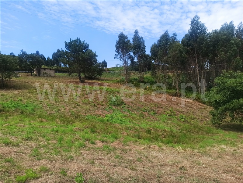 Terreno  com Rústico Mafra, Avessada - 1224427 - 4