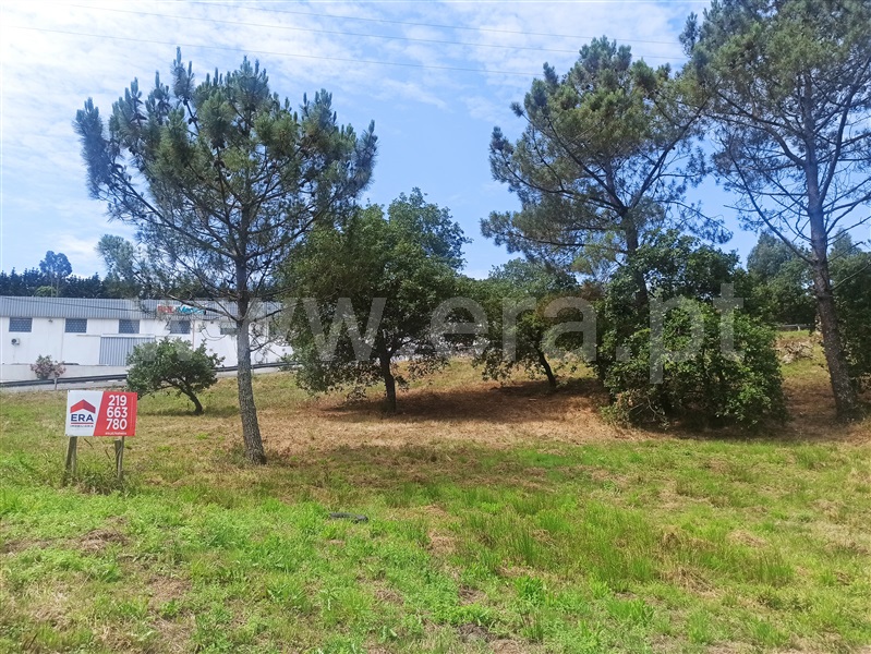 Terreno  com Rústico Mafra, Avessada - 1224427 - 6