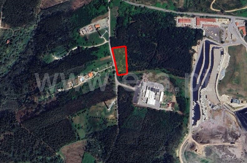 Lote Industrial  Mafra, Mafra - 1474892 - 1