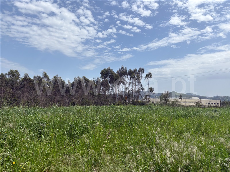 Lote Industrial  Mafra, Mafra - 1474892 - 6