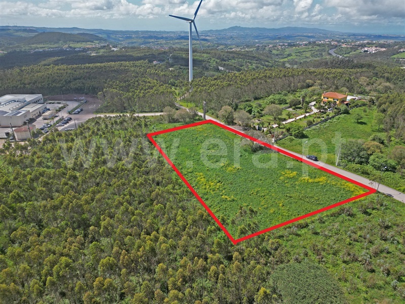 Lote Industrial  Mafra, Mafra - 1474892 - 10