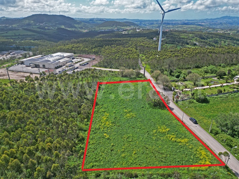 Lote Industrial  Mafra, Mafra - 1474892 - 11