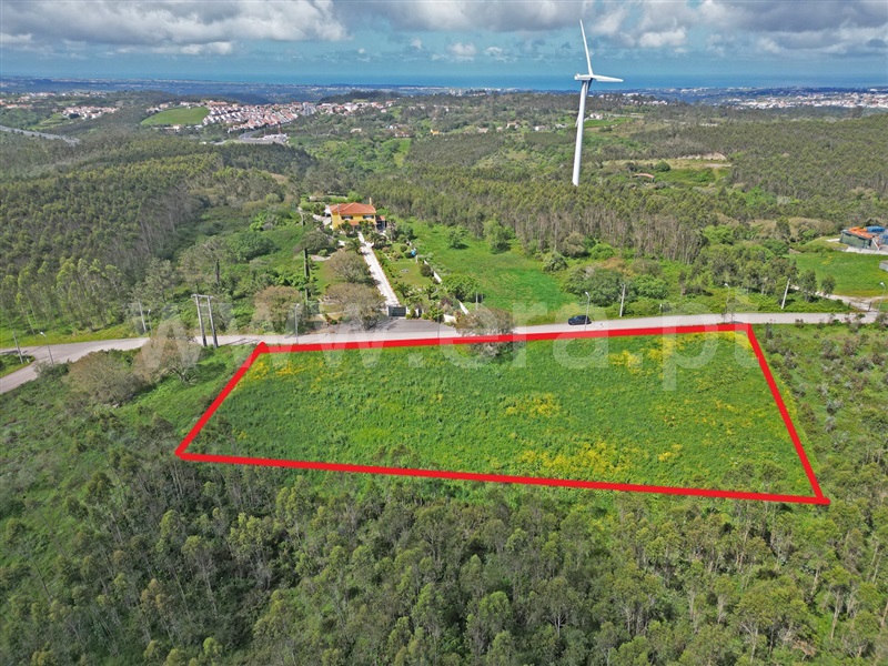 Lote Industrial / Mafra, Mafra