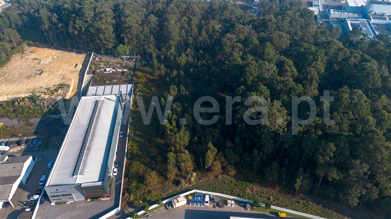 Lote Industrial  Maia, Nogueira e Silva Escura - 1510453 - 2