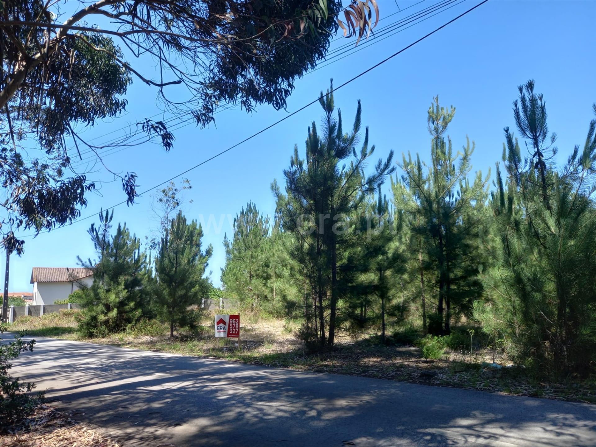 Land for sale in Marinha Grande, Portugal — €400,000