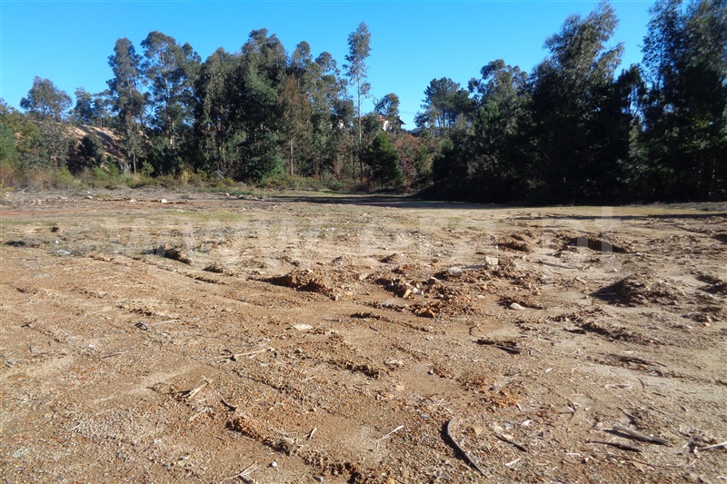 Lote Industrial / Oliveira de Azeméis, Carregosa