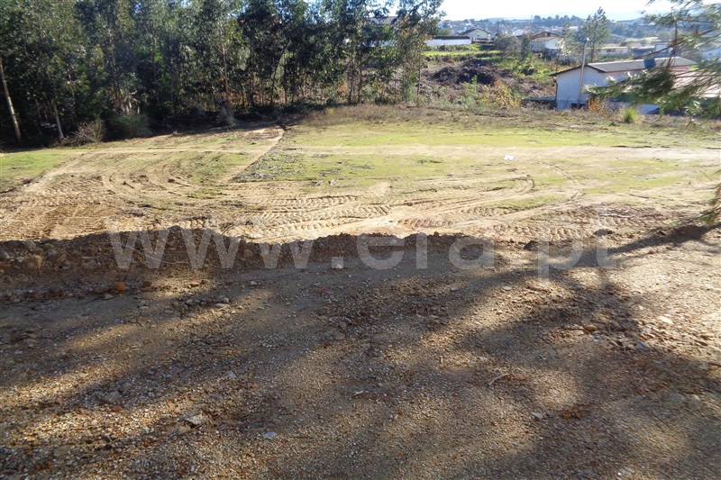 Lote Industrial  Oliveira de Azeméis, Carregosa - 981417 - 3