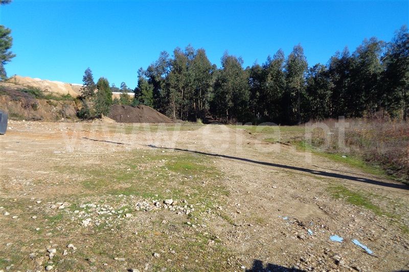 Lote Industrial  Oliveira de Azeméis, Carregosa - 981417 - 4