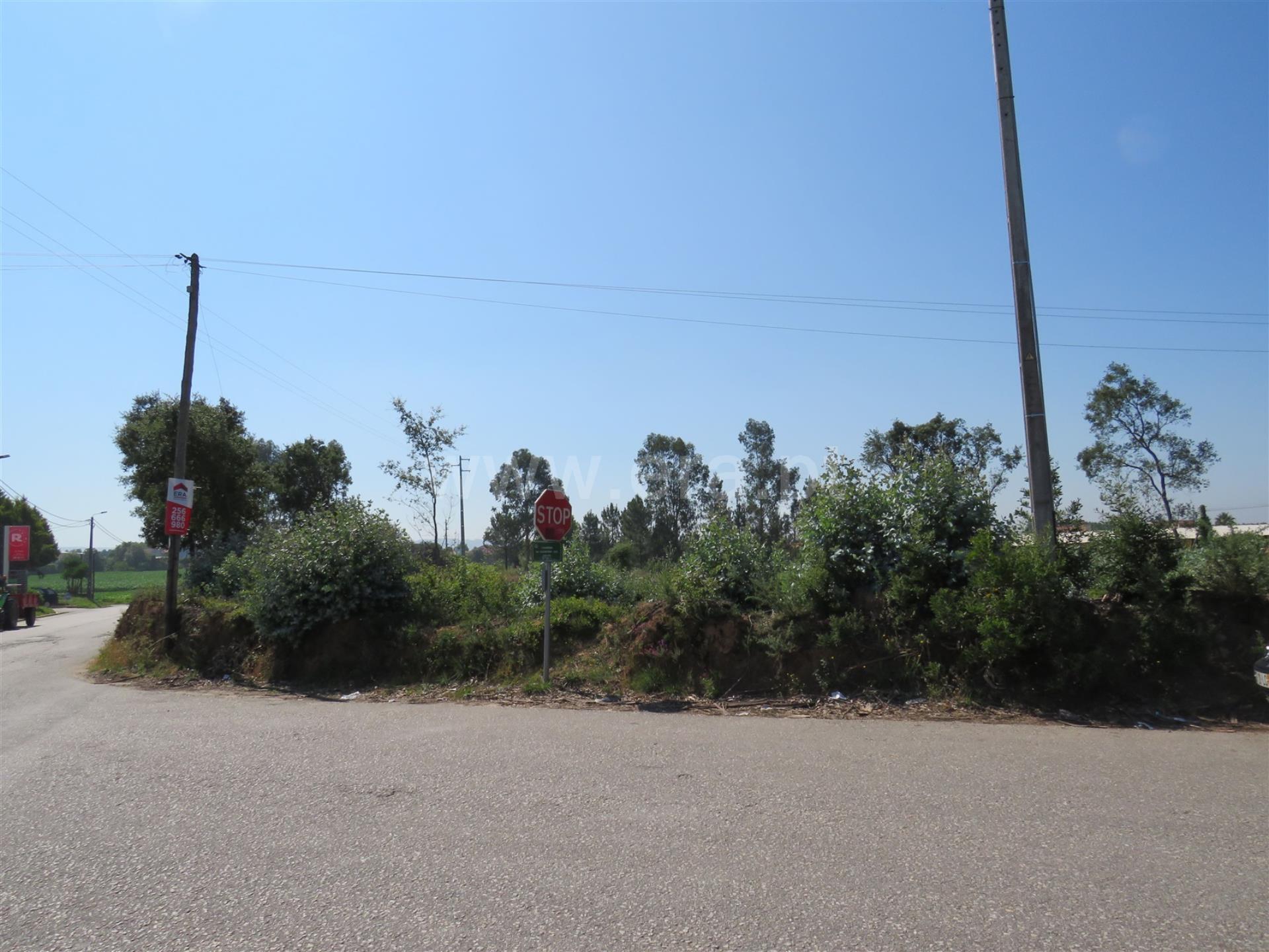 Land for sale in Oliveira de Azeméis, Portugal — €260,000