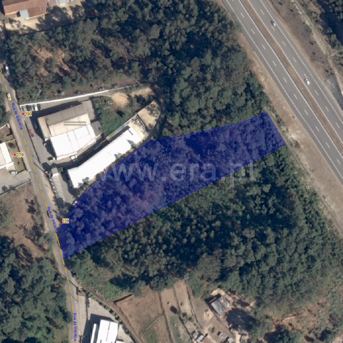 Land for sale in Oliveira de Azeméis, Portugal — €175,000