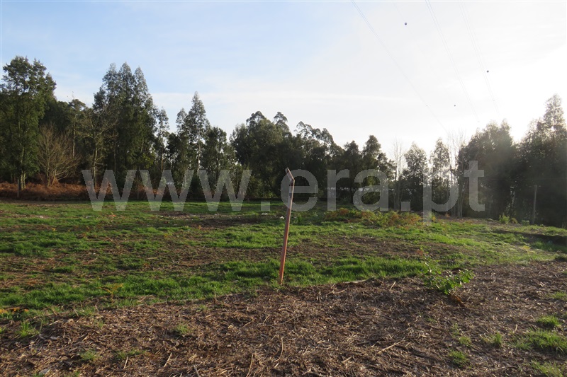 Lote Industrial / Oliveira de Azeméis, São Roque