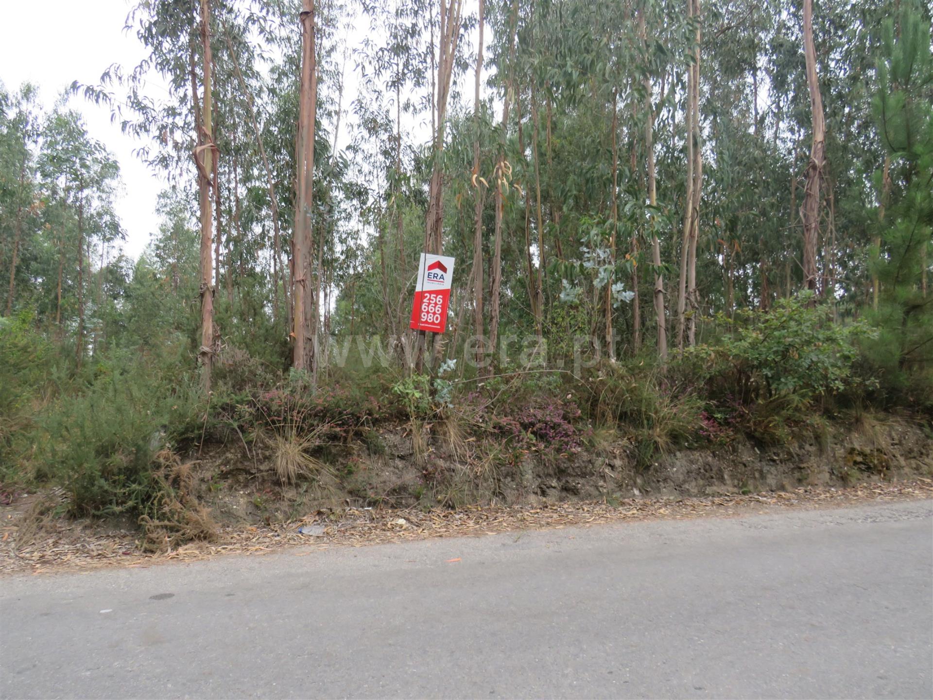 Land for sale in Oliveira de Azeméis, Portugal — €116,000