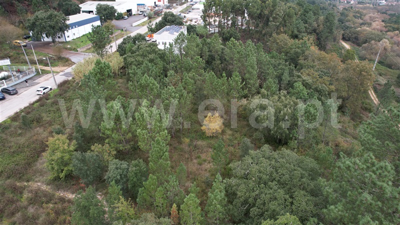 Terreno para Construção  Ourém, Seiça - 1371453 - 6