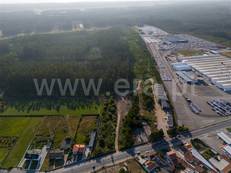 Lote Industrial / Ovar, Arada