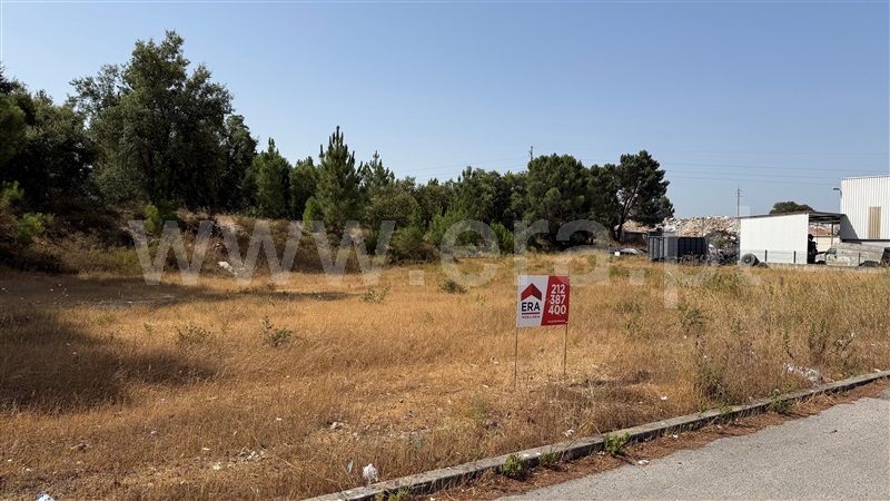 Lote Industrial / Palmela, Palmela