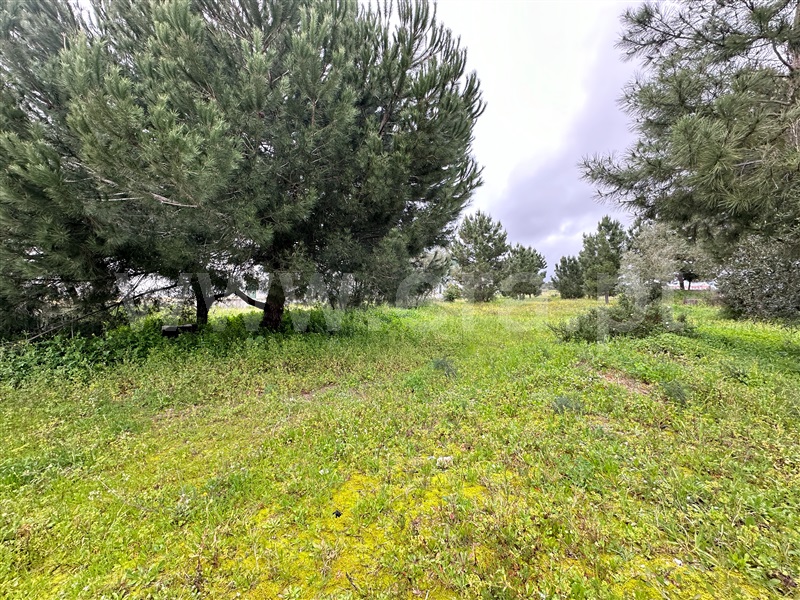 Lote Industrial, Vale do Alecrim,  Palmela - 1382564 - 3