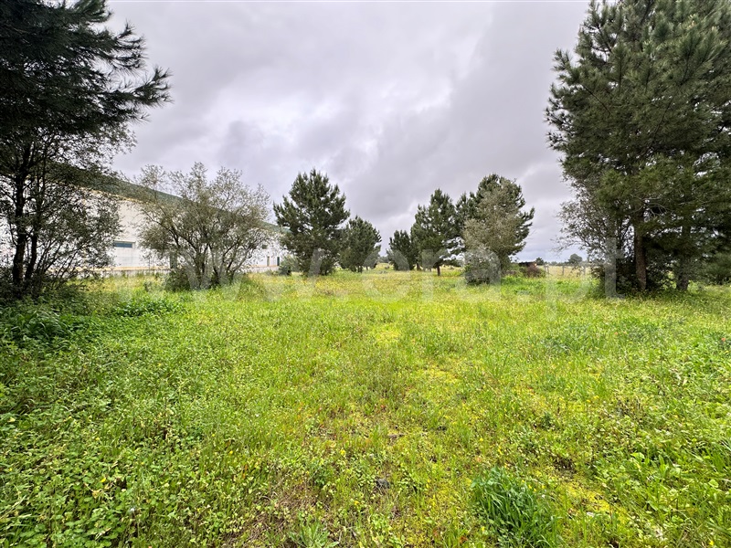 Lote Industrial, Vale do Alecrim,  Palmela - 1382564 - 4