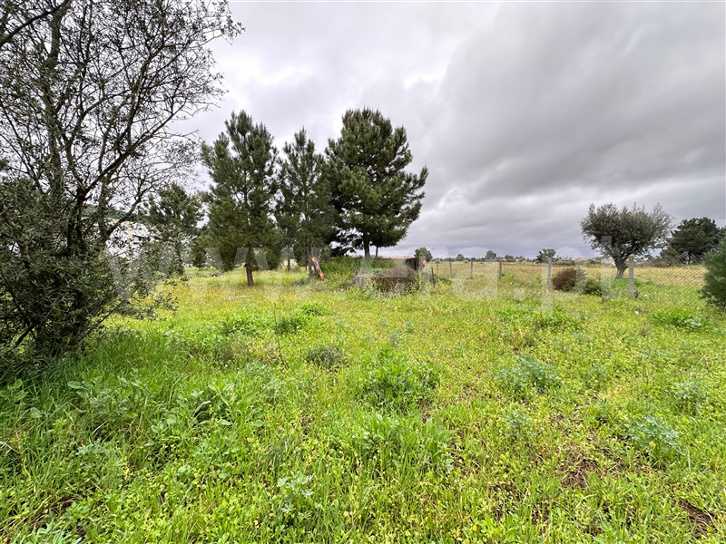 Lote Industrial, Vale do Alecrim,  Palmela - 1382564 - 5