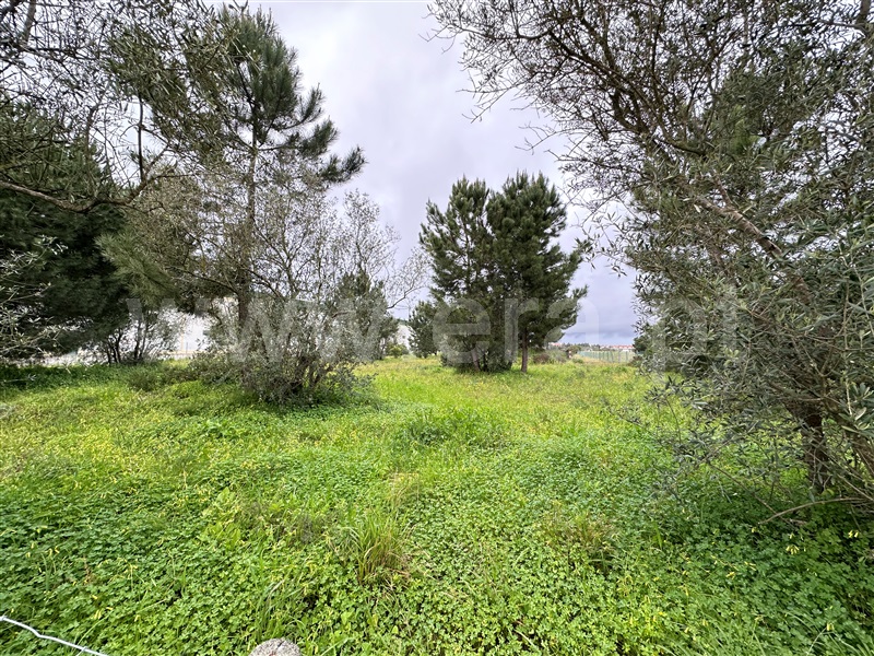 Lote Industrial, Vale do Alecrim,  Palmela - 1382564 - 6