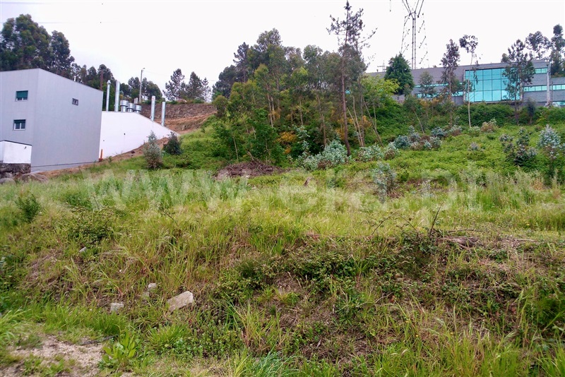 Lote Industrial  Paredes, Duas Igrejas - 1166305 - 2
