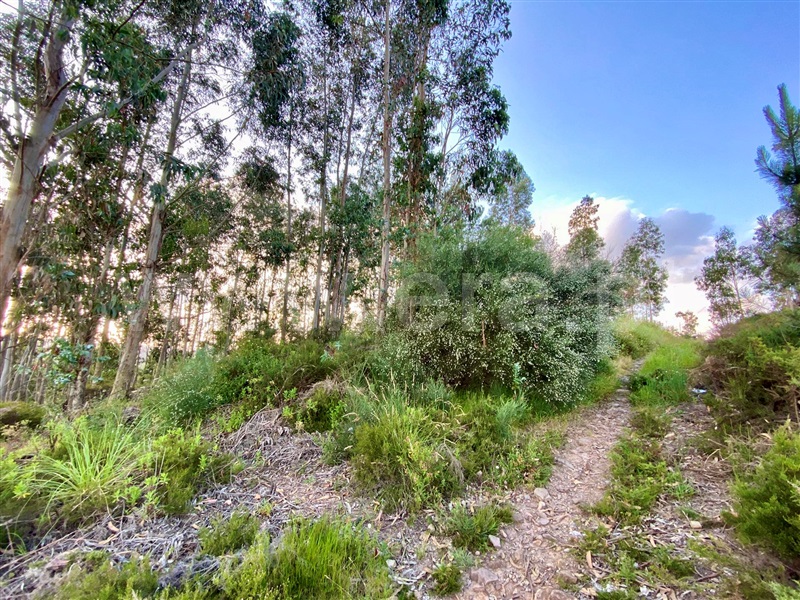 Lote Industrial  Paredes, Gandra - 1181188 - 2